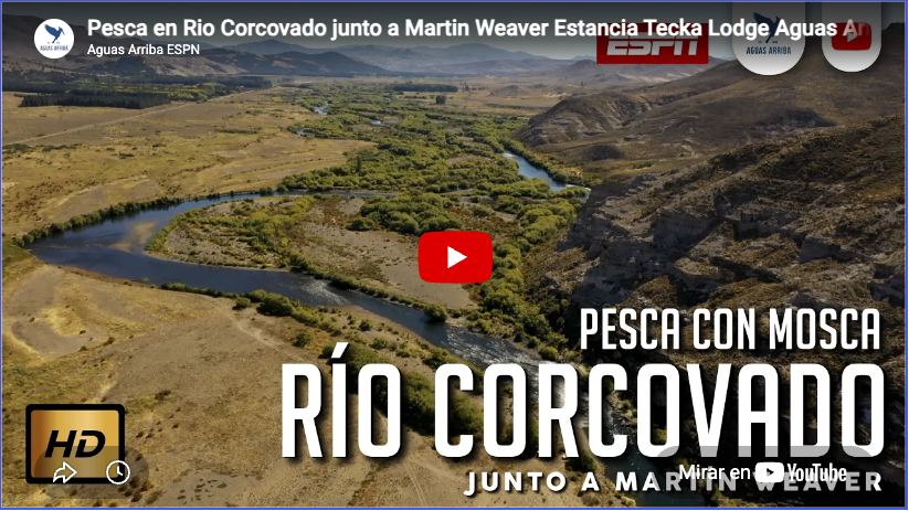 Río Corcovado con Martín Weaver