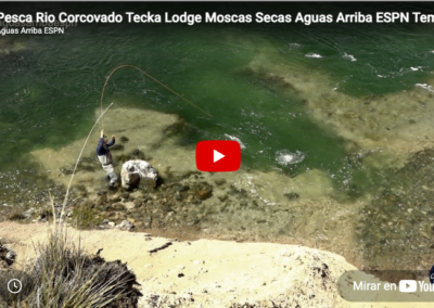 Río Corcovado con moscas secas