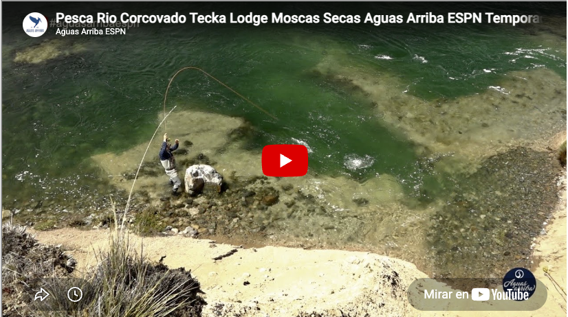 Río Corcovado con moscas secas